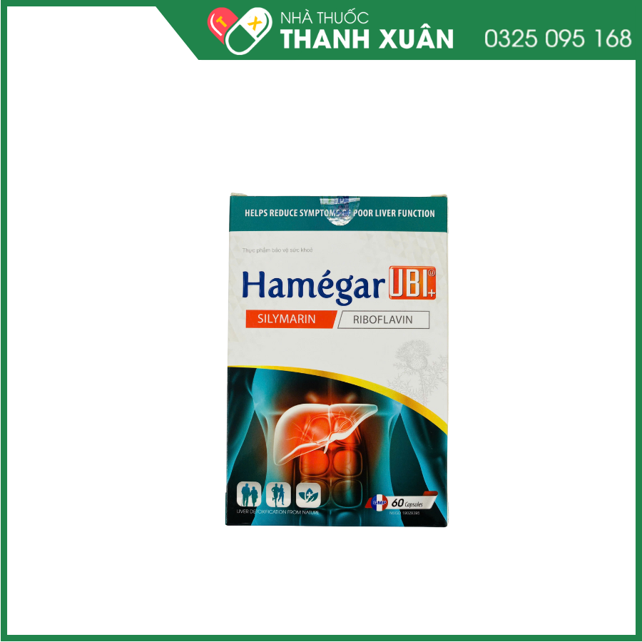 Hamégar Ubi hỗ trợ tăng cường chức năng gan